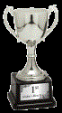 Medium Silver Zinc Metal Cup Trophy